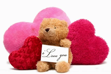 Lovely And Beautiful Teddy Bear Wallpapers ~ Allfreshwallpapers