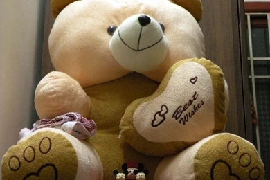 Lovely And Beautiful Teddy Bear Wallpapers ~ Allfreshwallpapers