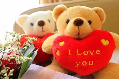 Teddy Bear Love Hd Wallpapers   Wallpaperss HD