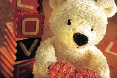 Cute Images Of Teddy Bears   Wallpapers HD Base