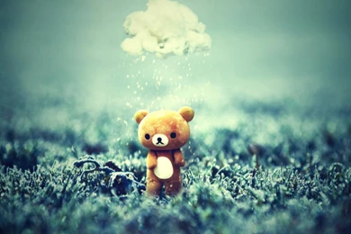 Teddy Bear Wallpaper, Images Of Teddy Day 2016