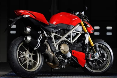 Cat Close Up (id: 152110) – BUZZERG