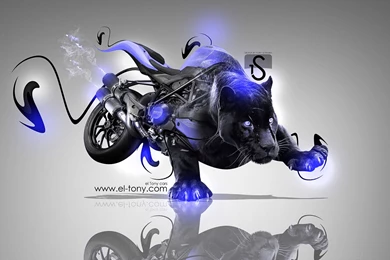 Ducati Streetfighter 848 Fantasy Panter 2013 « El Tony