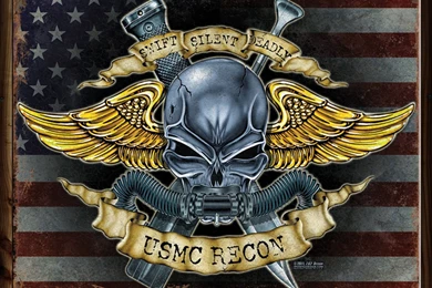 The Gallery For   > Force Recon Wallpapers