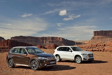 BMW X5 2014 Widescreen Exotic Car Wallpapers