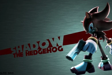 Shadow The Hedgehog By EternalRZ On DeviantArt