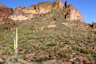 Sonoran Desert Keith   ThingLink