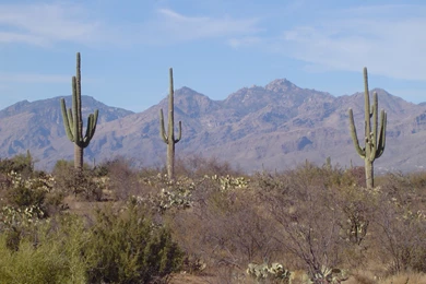 Travels In The Riel World » Blog Archive » Poetry Of Travel: Life ...