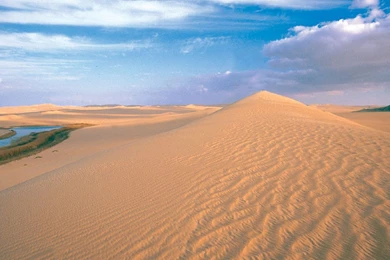 Sonoran Desert Arizona   HD Wallpapers Widescreen   1280x800