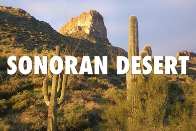 Biome Project By Alexander Perez