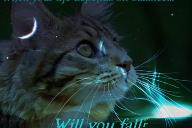 Warrior Cats Wallpapers Starclan