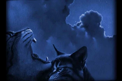 Warrior Cats Wallpapers Desktop   Wallpapers Cave