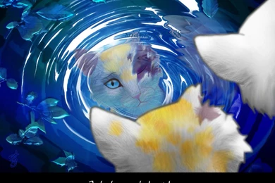 Warrior Cats Wallpapers Bluestar