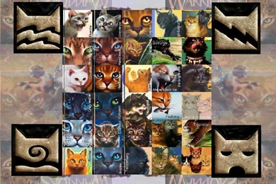 Creative Graphics Archives   Zyprexaclassaction.com