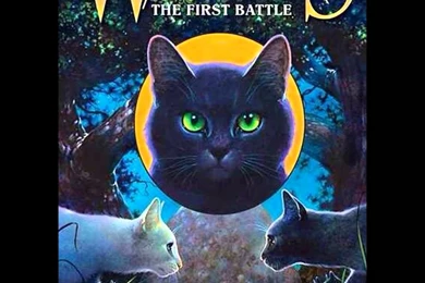 Creative Graphics Archives   Zyprexaclassaction.com