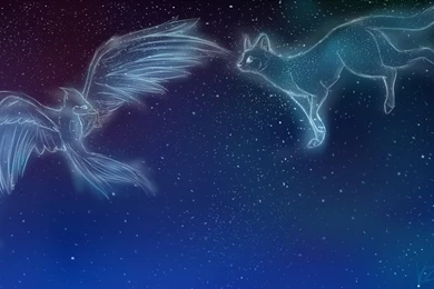 StarClan Wallpapers By KZcat On DeviantArt