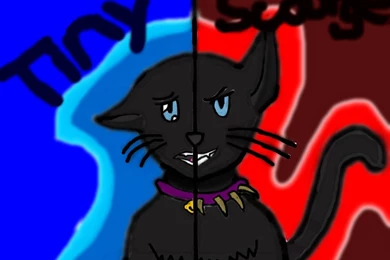 Warrior Cats Wallpapers Scourge