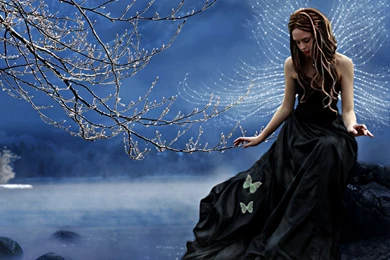 Fairy Computer Wallpapers, Desktop Backgrounds