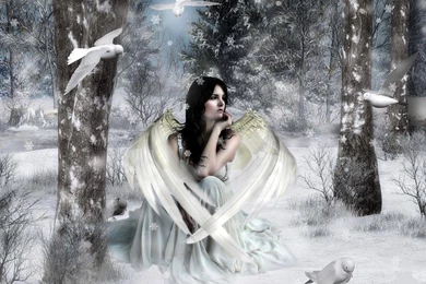 Fairy Cool Wallpapers 8668   HD Wallpapers Site