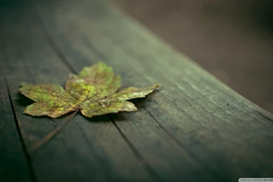 Download Circuits Board Wallpapers 1920x1080