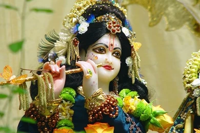 Krishna Wallpapers Hd   Top Wallpapers HD