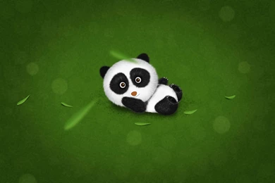 Cute Baby Panda Wallpapers   1264286