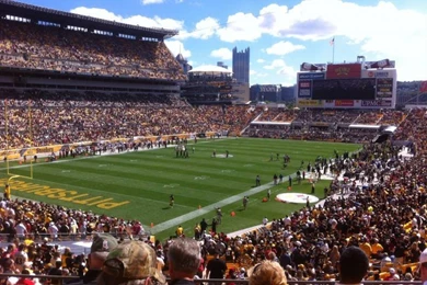 Heinz Field, Home Of Pittsburgh Steelers, Pittsburgh Panthers