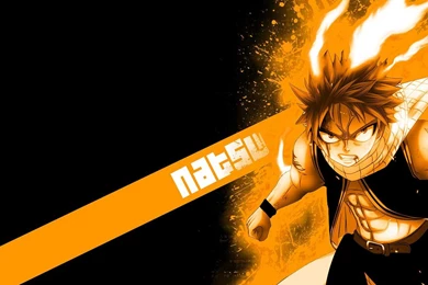 Fairy Tail Natsu   (