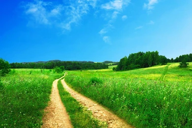 Beautiful Nature Wallpapers HD