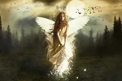 Live Cute Wallpapers Angels 7 Free Hd Wallpapers   XDwallpaper.com