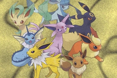 Eevee Evolutions   Pokemon Wallpapers