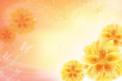 The Gallery For   > Yellow Flower Backgrounds