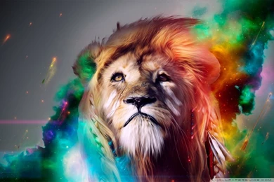 Beautiful Lion HD Desktop Wallpapers : Widescreen : High Definition ...