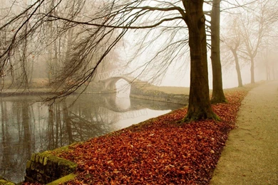 Best Autumn Photo PC Desktop wallpapers picture HD collection 20 ...