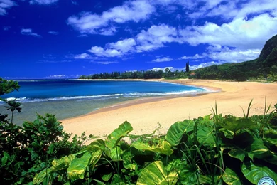 View Beautiful Scenery Picture Wallpapers In 1600x1200 Resolution