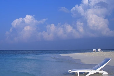 Free Download Mini iPad HD Wallpapers (129)