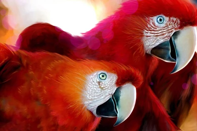 Wallpapers Tagged With WIDESCREEN