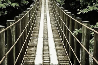 Wallpapers Full Hd 1080 X 1920 Smartphone Cute Kitty   1080 X 1920 ...