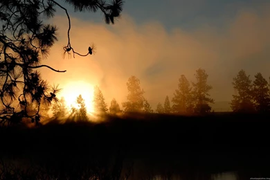 Hd Wallpapers Widescreen 24860