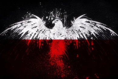 Eagle Flag Wallpapers 1920x1200   (