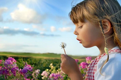 Flower Field Plants And Little Girl Children Wallpapers HD