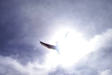 Holy Spirit Pictures Wallpapers