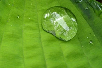 How To Shake Your Way To A New Wallpapers On Your Samsung Galaxy S3 ...