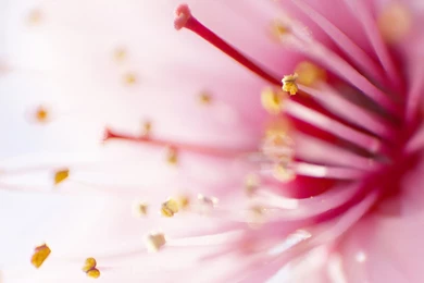 Free Wallpapers For Samsung Galaxy S3 Mini   Related To Samsung ...