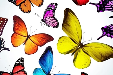 ButterfliesSamsung Wallpapers Download
