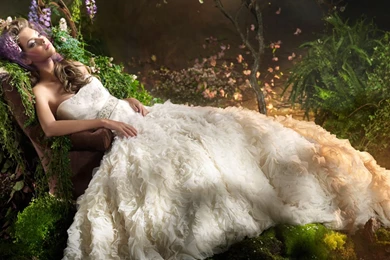 Dreaming Computer Wallpapers, Desktop Backgrounds