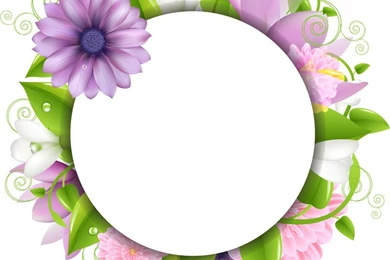 Free Vector Flowers   ICliparts.com