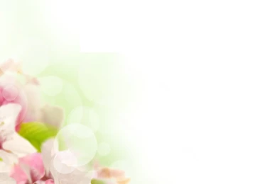 Flower backgrounds for powerpoint 26.jpg