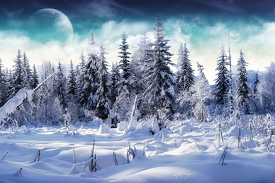 Free Wallpapers Winter Scenes: View HD Image Of Free Wallpapers ...