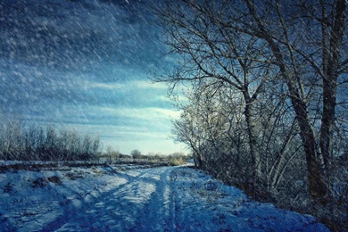 Winter Scenes Wallpapers Free   1557650